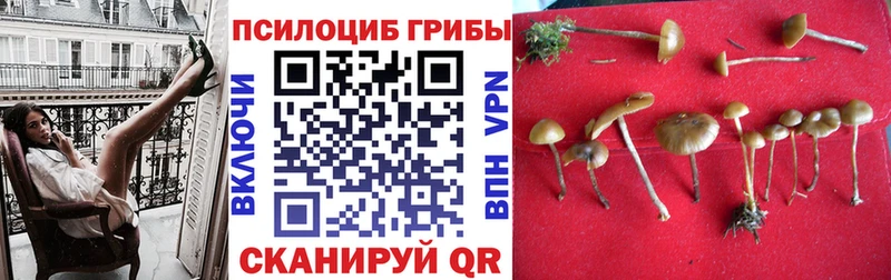 Галлюциногенные грибы GOLDEN TEACHER  Трёхгорный 